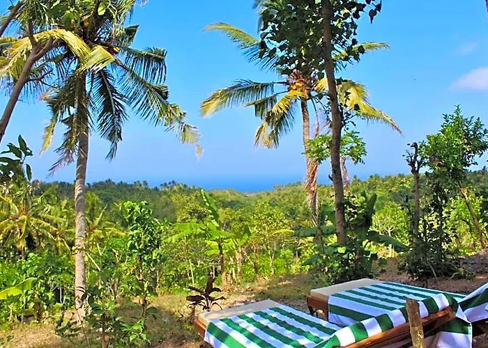 Residence Deluxe Double With Great View In Nusa Penida Pelilit