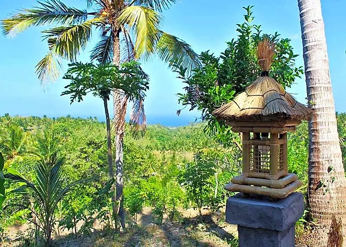 Deluxe Double With Great View In Nusa Penida * Pelilit